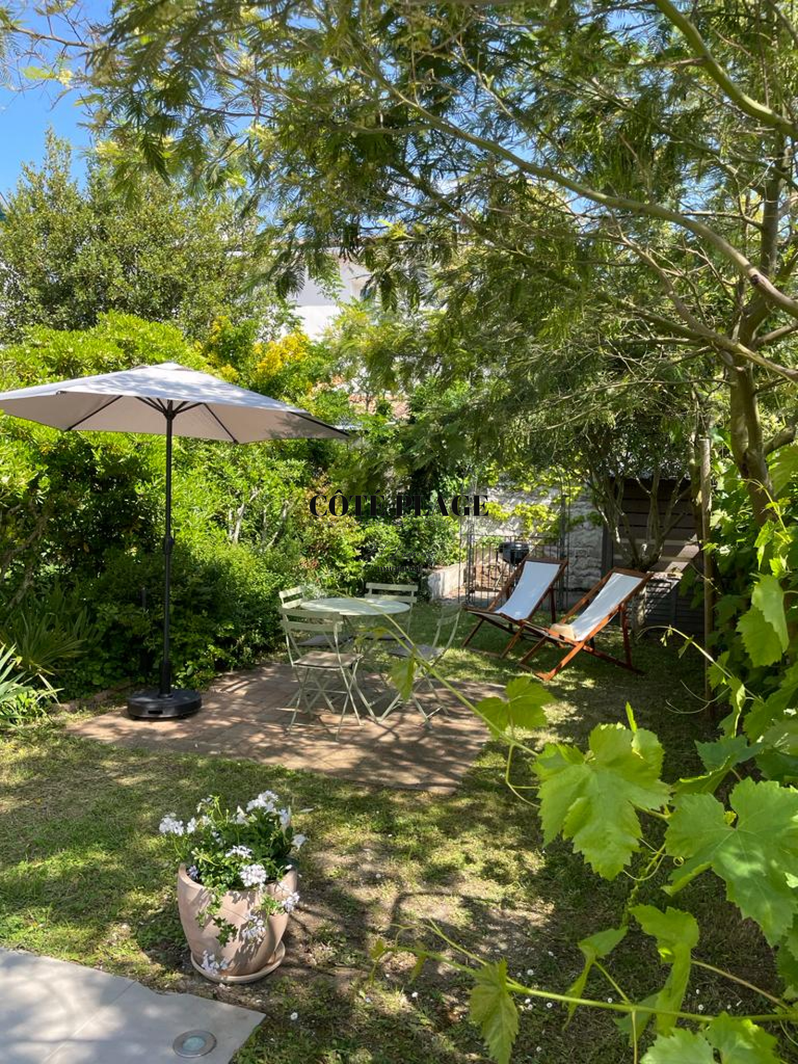 Image_, Maison, Royan, ref :1809