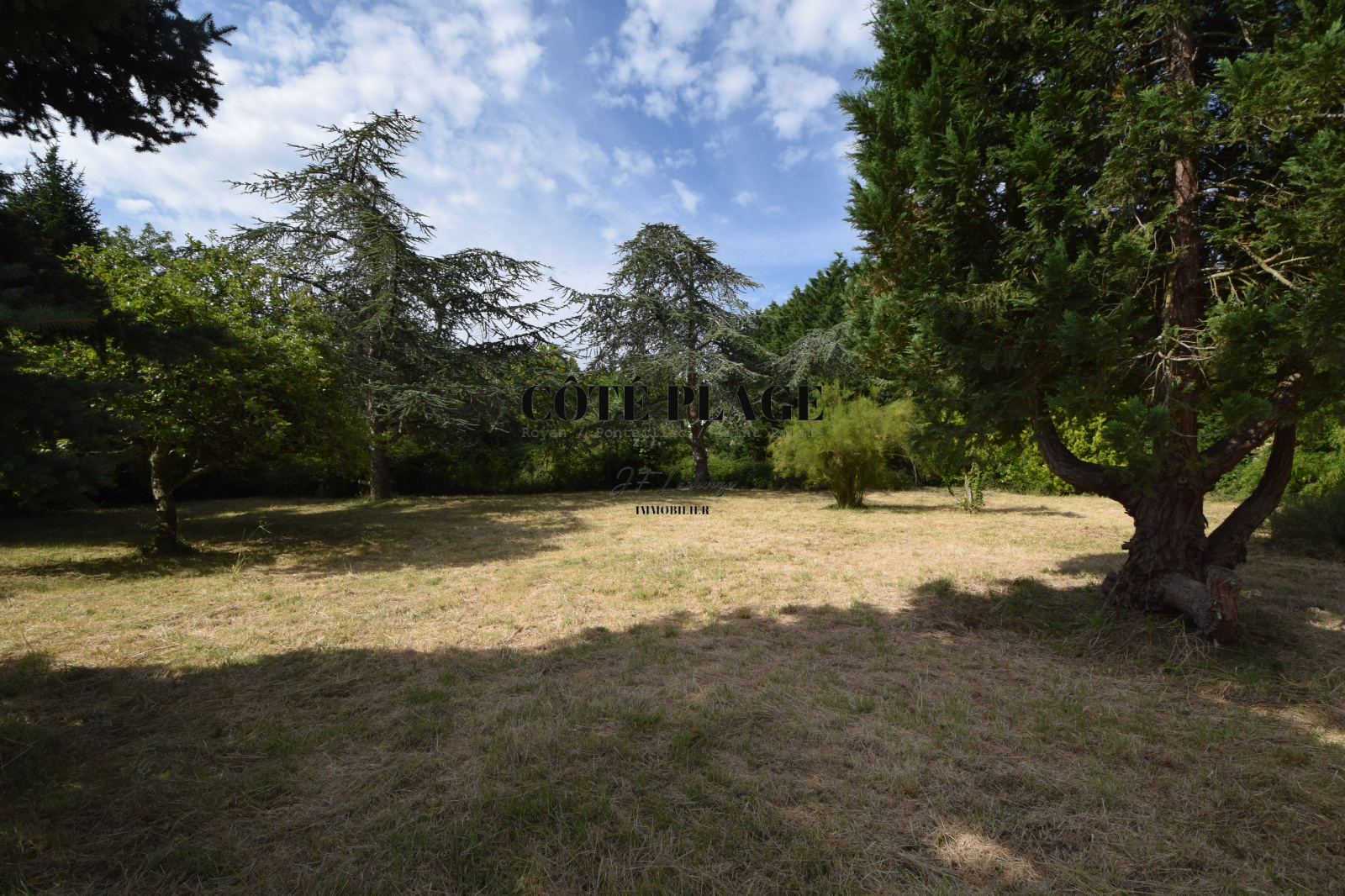 Image_, Terrain, Saint-Augustin, ref :1751