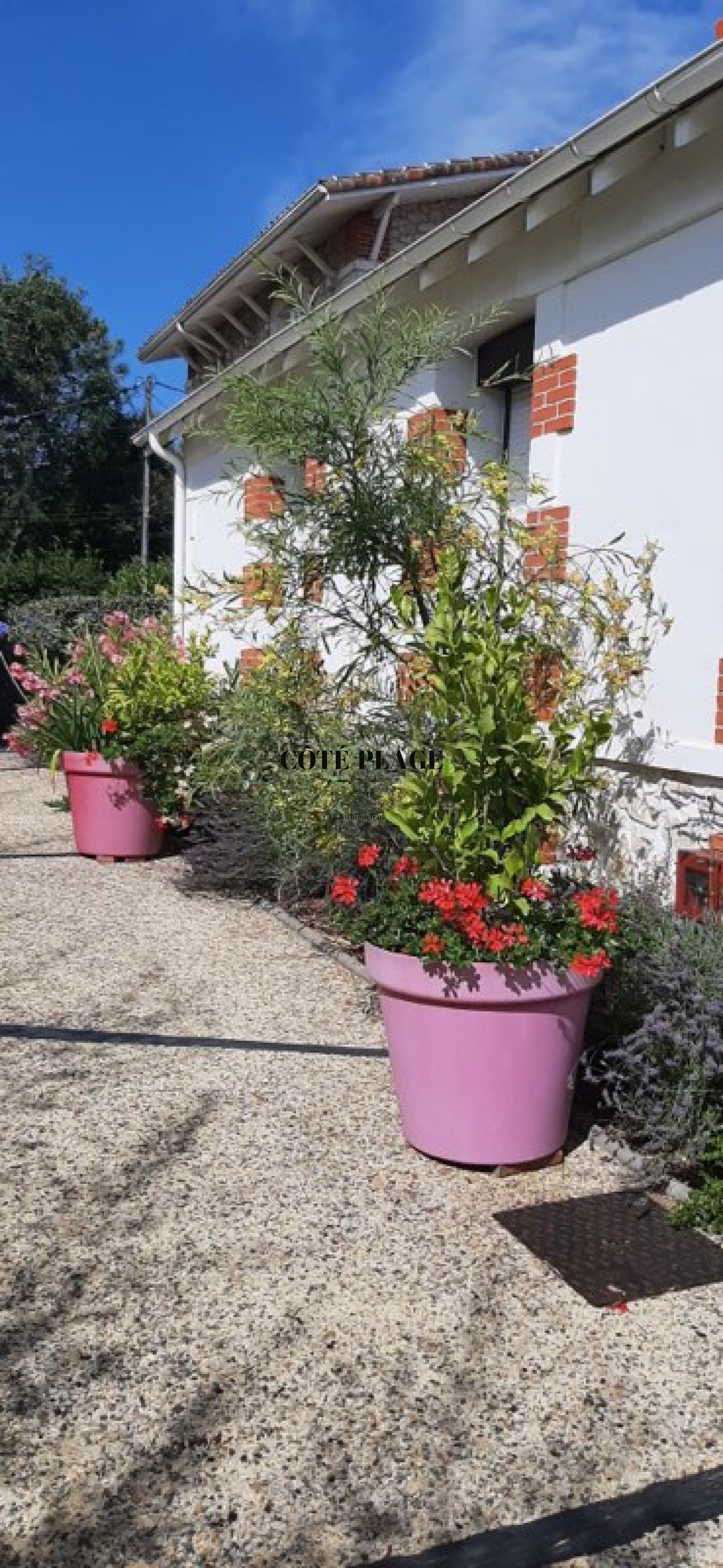 Image_, Maison, Royan, ref :47