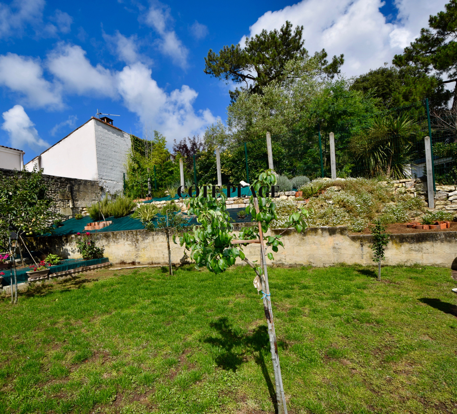 Image_, Maison, Royan, ref :1489