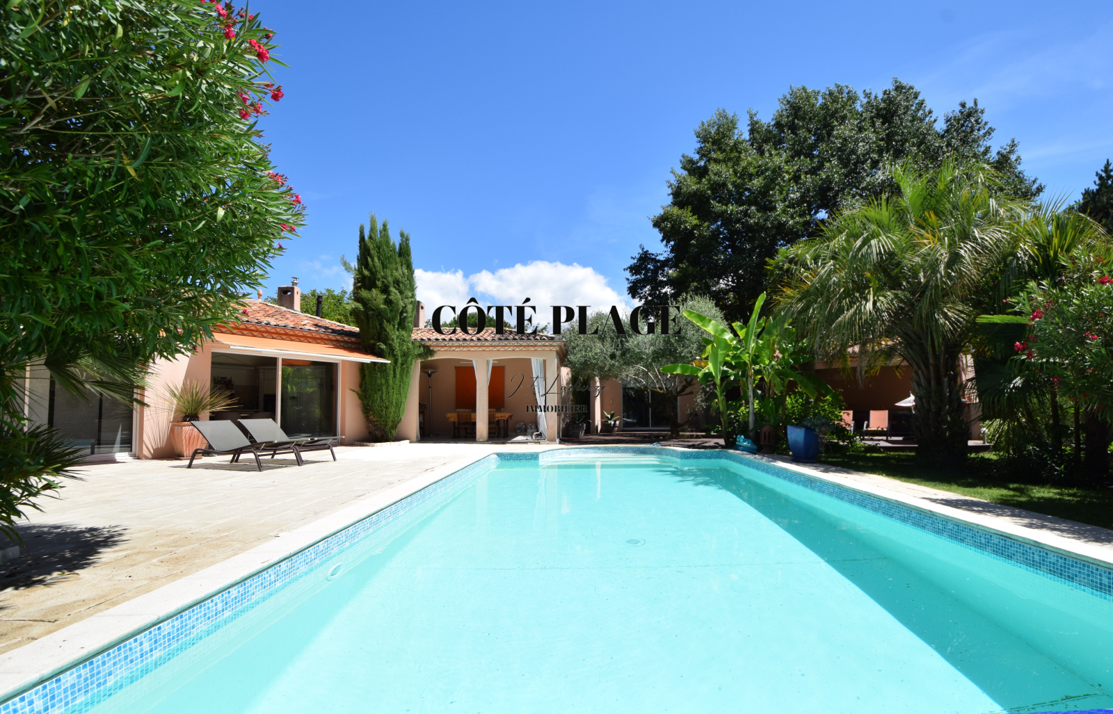 Image_, Maison, Saujon, ref :1729