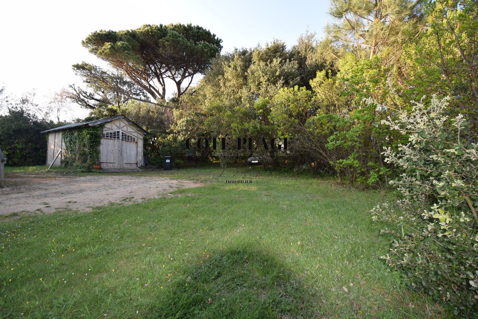 Image_, Maison, Saint-Palais-sur-Mer, ref :1156