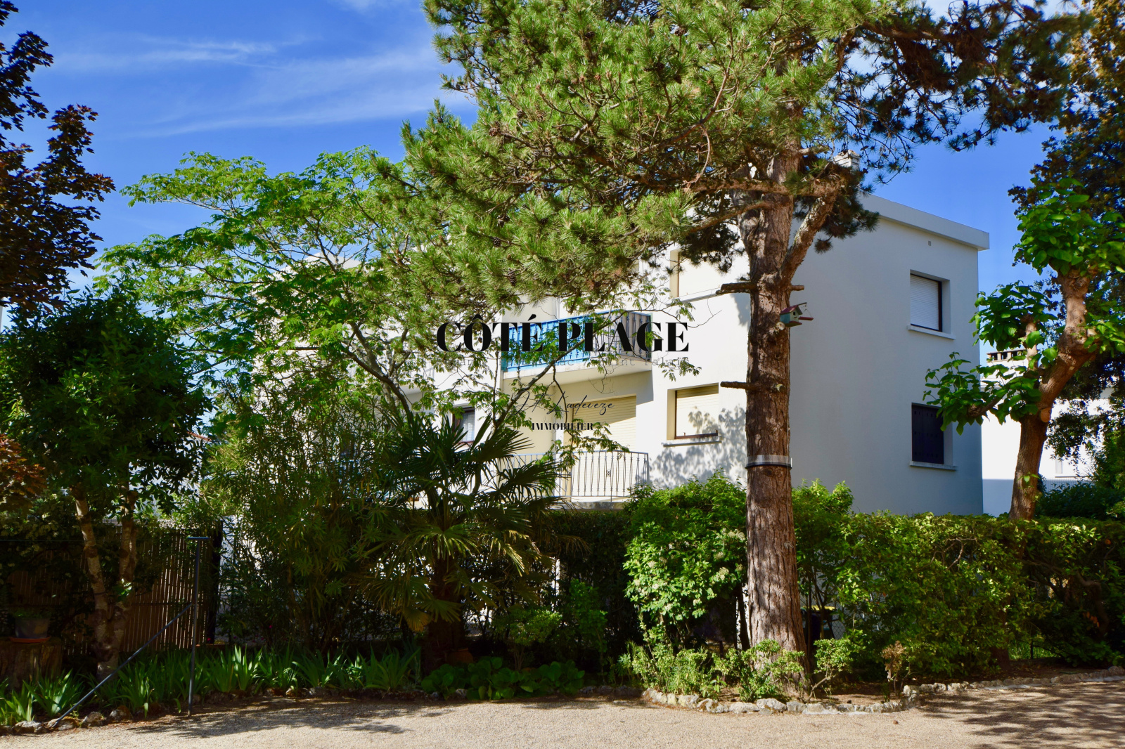 Image_, Appartement, Royan, ref :1599