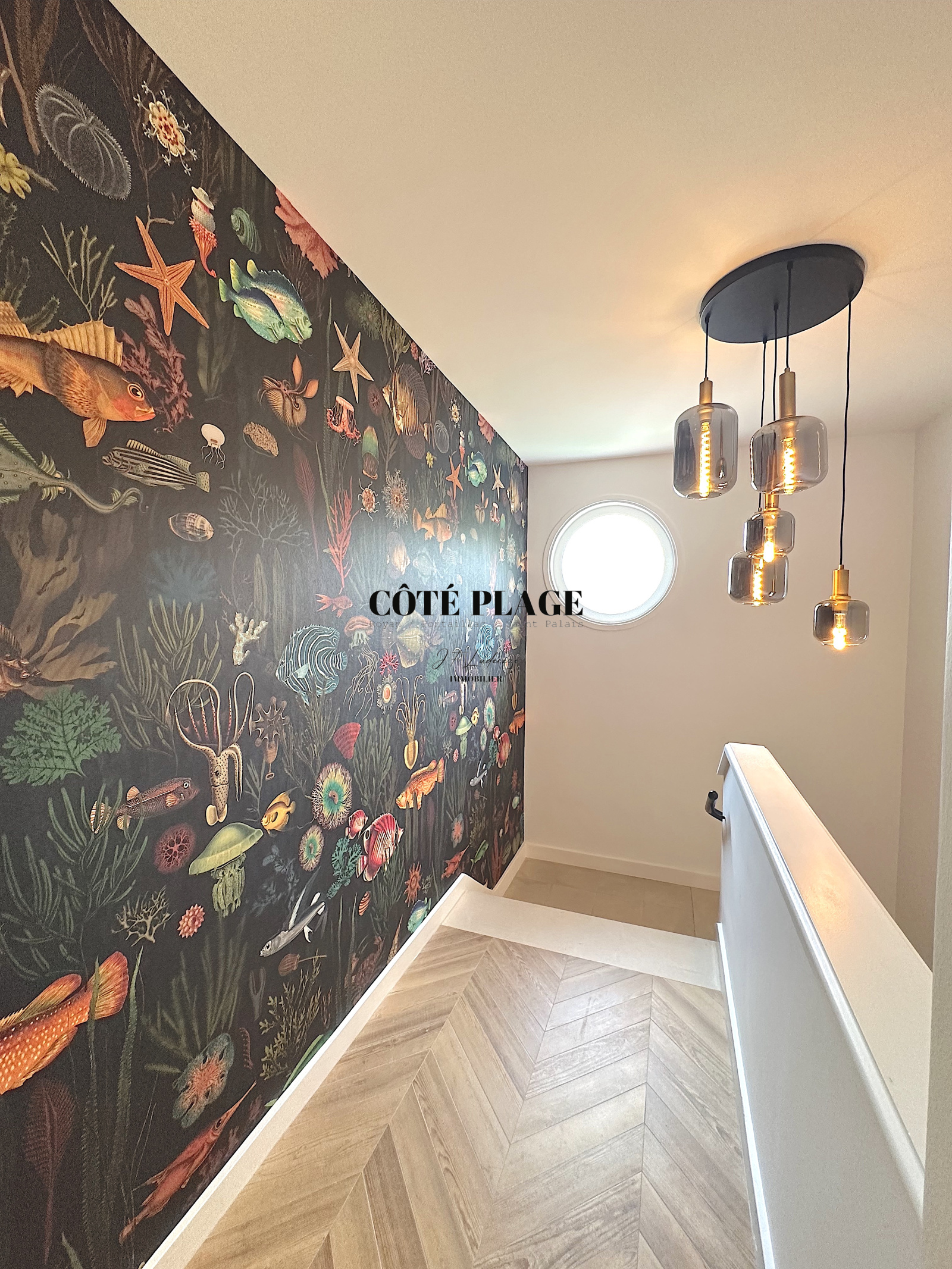 Image_, Maison, Saint-Georges-de-Didonne, ref :